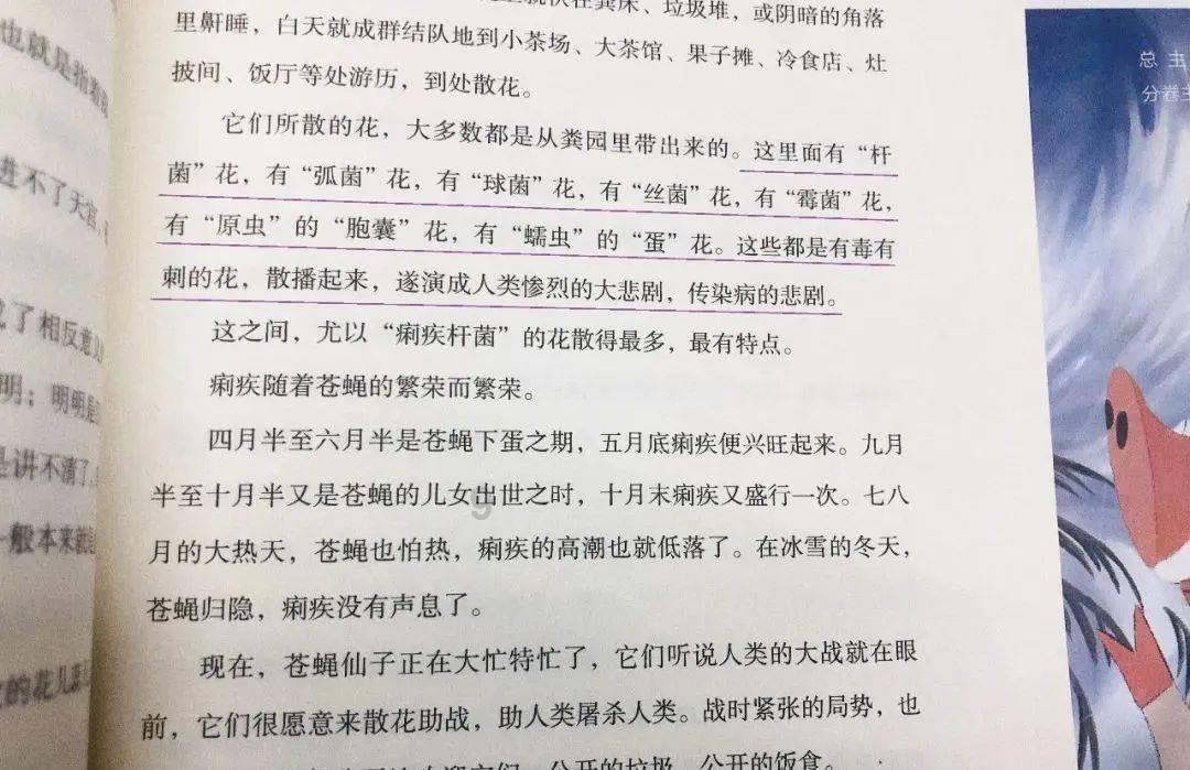 真三国无双8